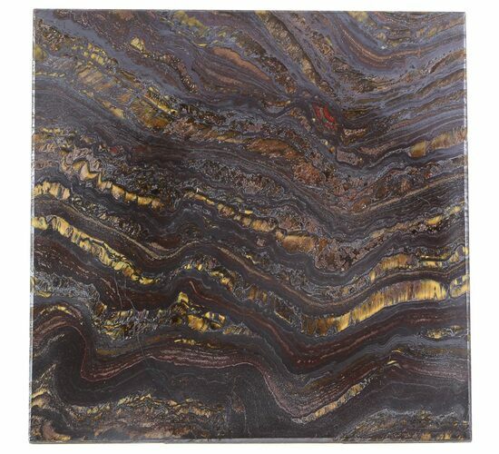 Tiger Iron Stromatolite Shower Tile - Billion Years Old #48794
